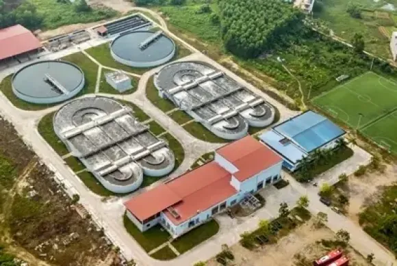 Thị trường