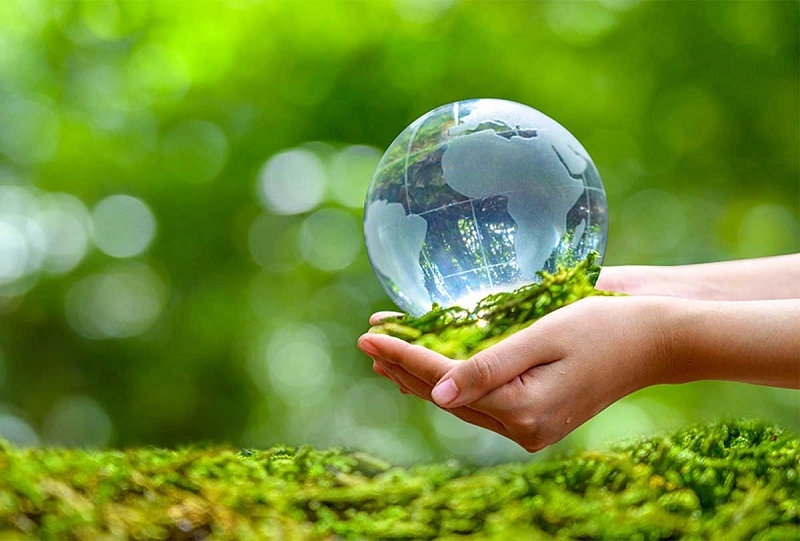 Công Ty TNHH Safechem Việt Nam