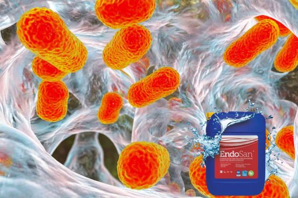 endosan loại bỏ biofilm