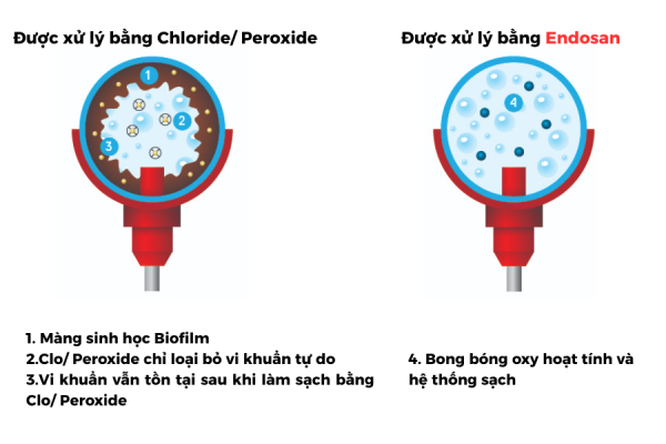 Endosan loại bỏ Biofilm