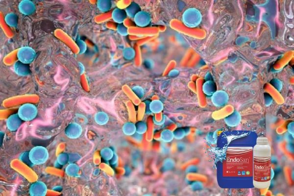 loại bỏ biofilm